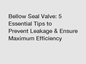 Bellow Seal Valve: 5 Essential Tips to Prevent Leakage & Ensure Maximum Efficiency