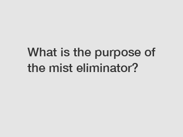 What is the purpose of the mist eliminator?