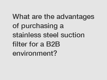 What are the advantages of purchasing a stainless steel suction filter for a B2B environment?