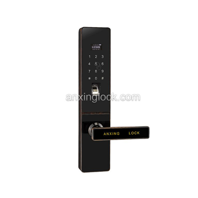 Fingerprint Lock